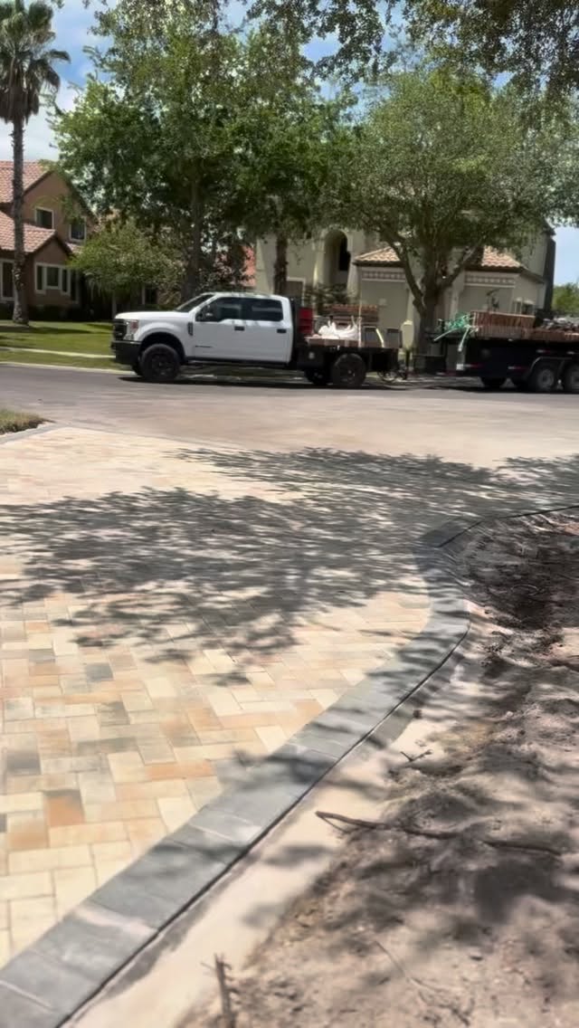 Driveway paver curve and shade tree