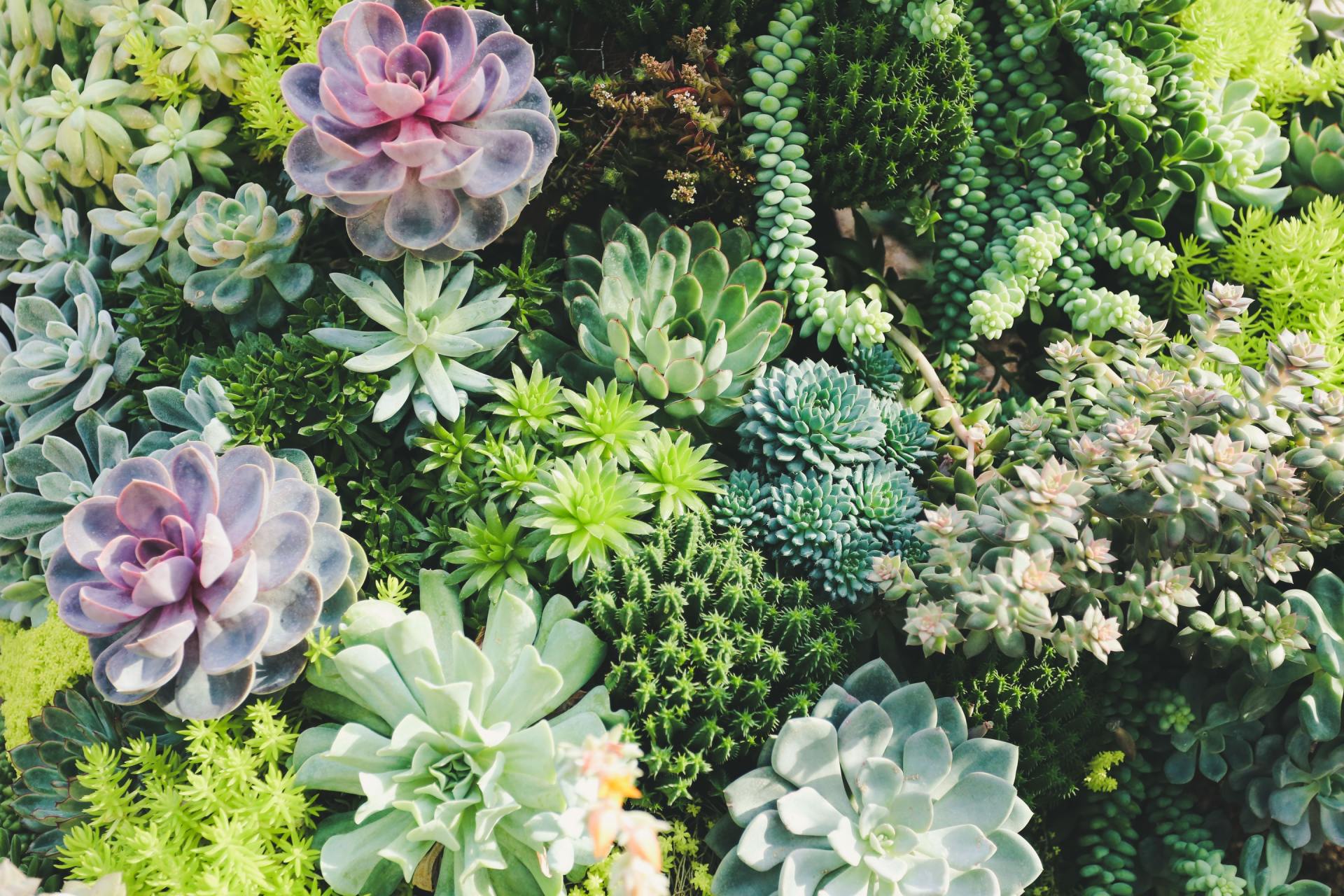 Landscape Design & Install — Liberty Landscape